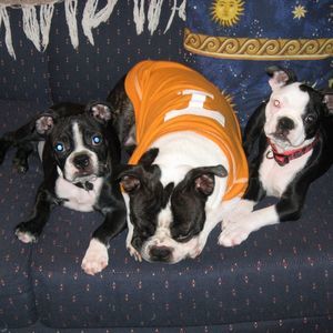 Meet your Posher, Angela